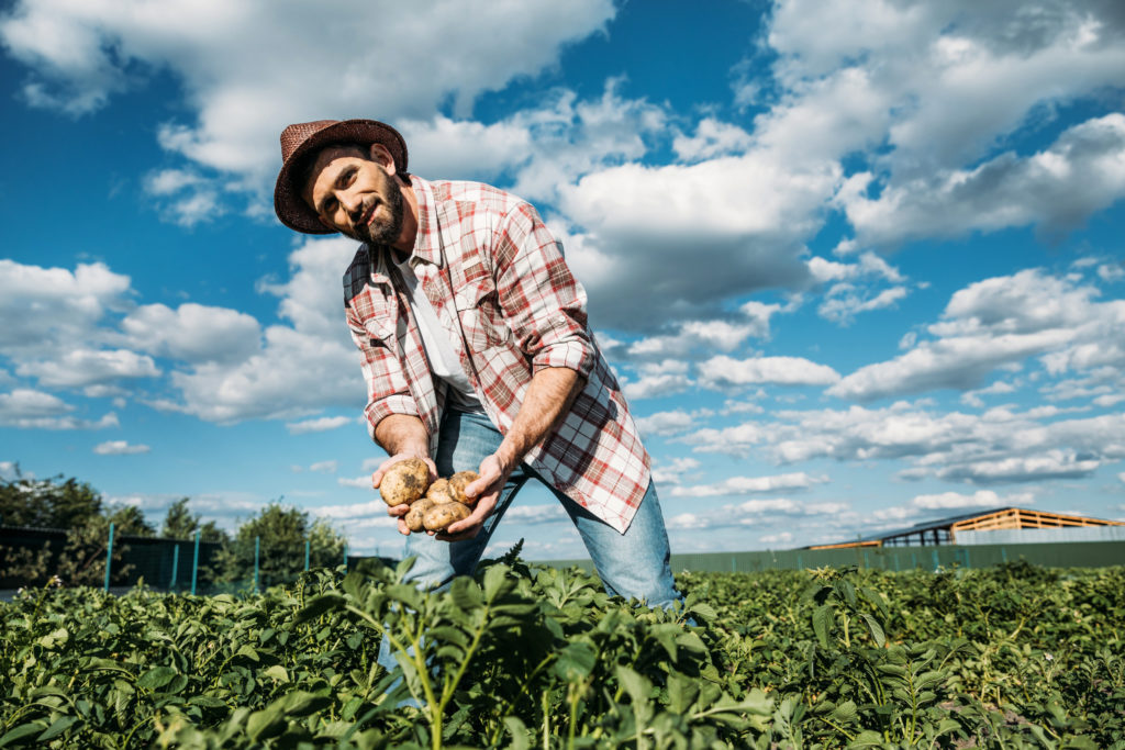 Come Aprire Un Azienda Agricola Senza Soldi