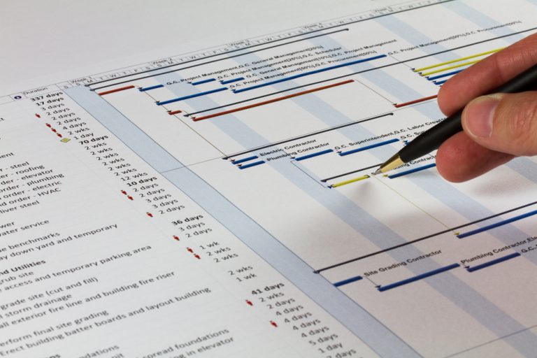 Economia E Management Cosa Si Diventa